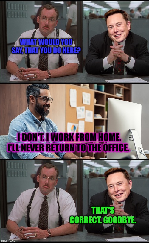 Looks like Elon knows how to cut standarounds... | WHAT WOULD YOU SAY, THAT YOU DO HERE? I DON'T. I WORK FROM HOME. I'LL NEVER RETURN TO THE OFFICE. THAT'S CORRECT. GOODBYE. | image tagged in elon musk,now,owns,twatter,the horror the horror,office space | made w/ Imgflip meme maker