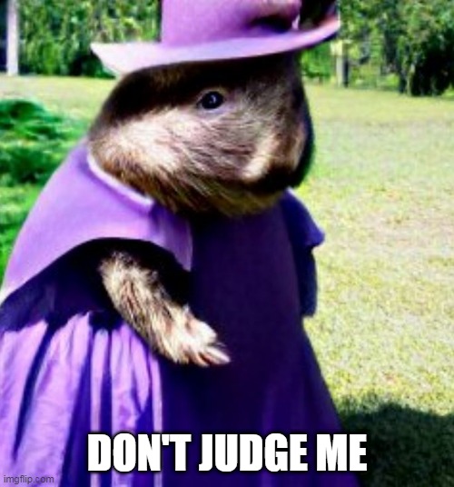 Fancy wombat |  DON'T JUDGE ME | image tagged in wombat | made w/ Imgflip meme maker