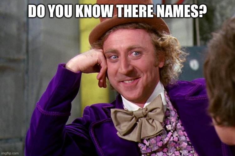 Silly wanka | DO YOU KNOW THERE NAMES? | image tagged in silly wanka | made w/ Imgflip meme maker