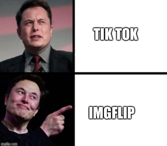 Disgusted  Elon musks happy Elon musk | TIK TOK; IMGFLIP | image tagged in disgusted elon musks happy elon musk | made w/ Imgflip meme maker