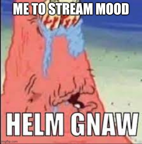 HELM GNAW | ME TO STREAM MOOD | image tagged in helm gnaw | made w/ Imgflip meme maker
