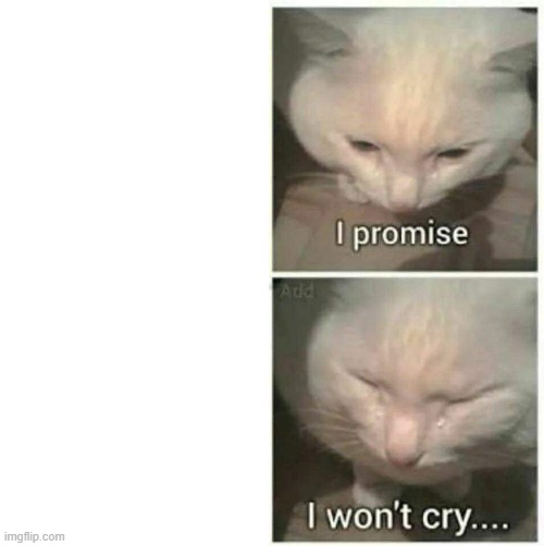 I promise I won't cry | image tagged in i promise i won't cry | made w/ Imgflip meme maker