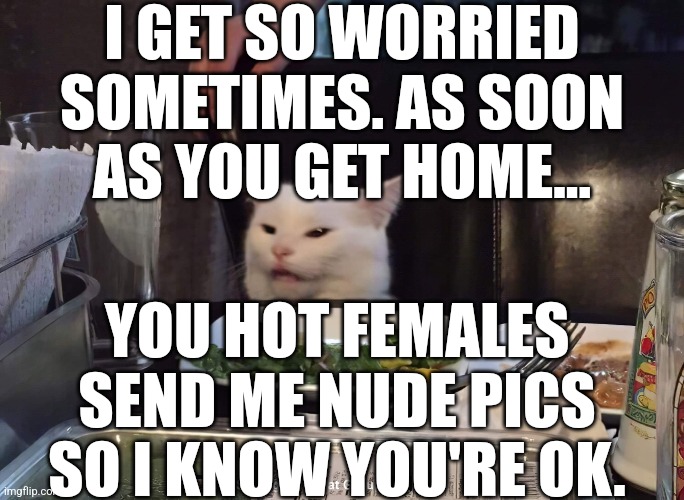 Image Tagged In Smudge The Cat Imgflip