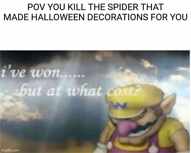 i won but at what cost | POV YOU KILL THE SPIDER THAT MADE HALLOWEEN DECORATIONS FOR YOU | image tagged in i won but at what cost | made w/ Imgflip meme maker