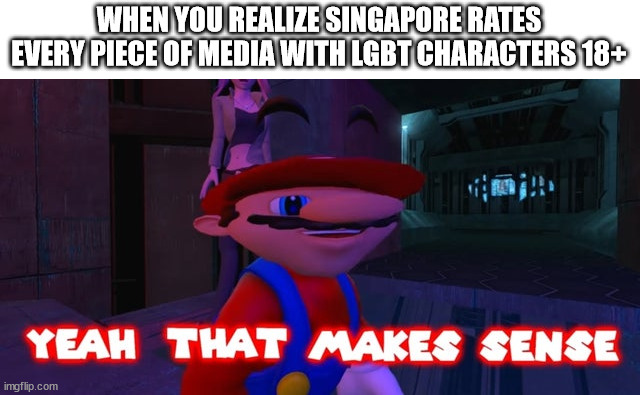 Mario that make sense | WHEN YOU REALIZE SINGAPORE RATES EVERY PIECE OF MEDIA WITH LGBT CHARACTERS 18+ | image tagged in mario that make sense,memes,conservatives,lgbtq | made w/ Imgflip meme maker