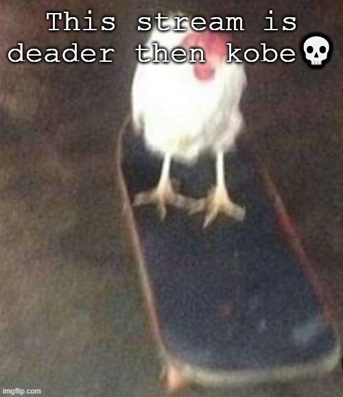 Dog on skateboard | This stream is deader then kobe💀 | image tagged in dog on skateboard,pls no cancel me | made w/ Imgflip meme maker