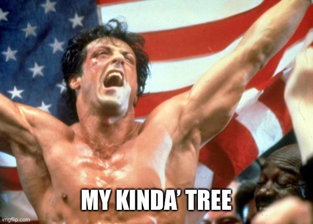 Rocky Victory | MY KINDA’ TREE | image tagged in rocky victory | made w/ Imgflip meme maker