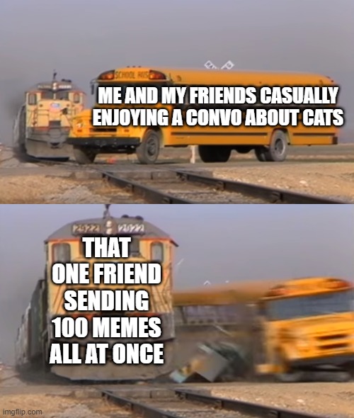 A train hitting a school bus | ME AND MY FRIENDS CASUALLY ENJOYING A CONVO ABOUT CATS; THAT ONE FRIEND SENDING 100 MEMES ALL AT ONCE | image tagged in a train hitting a school bus | made w/ Imgflip meme maker