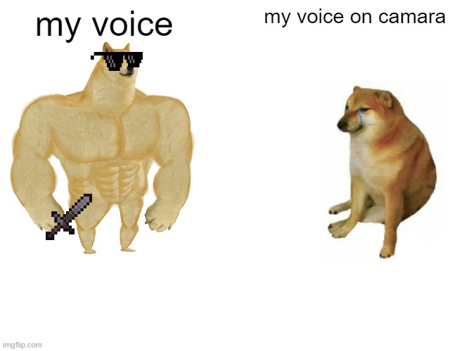 Buff Doge vs. Cheems | my voice; my voice on camara | image tagged in memes,buff doge vs cheems | made w/ Imgflip meme maker