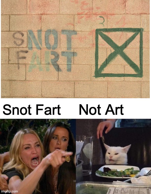 Snot Fart Graffiti | Not Art; Snot Fart | image tagged in memes,woman yelling at cat,graffiti | made w/ Imgflip meme maker