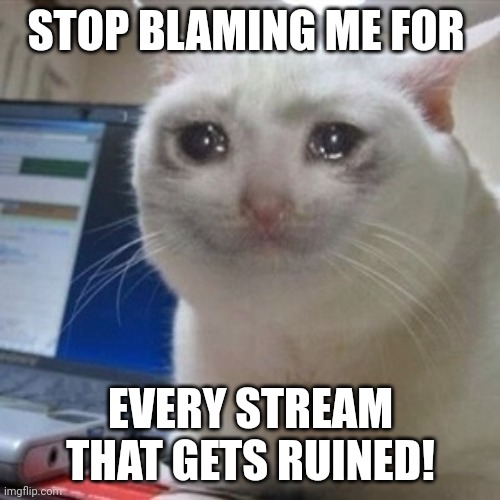 Crying cat | STOP BLAMING ME FOR EVERY STREAM THAT GETS RUINED! | image tagged in crying cat | made w/ Imgflip meme maker