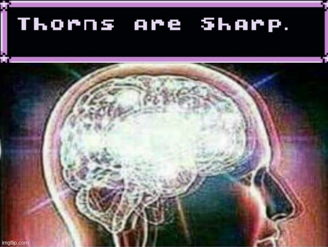 no shit | image tagged in galaxy brain,memes,shitpost,msmg,oh wow are you actually reading these tags | made w/ Imgflip meme maker