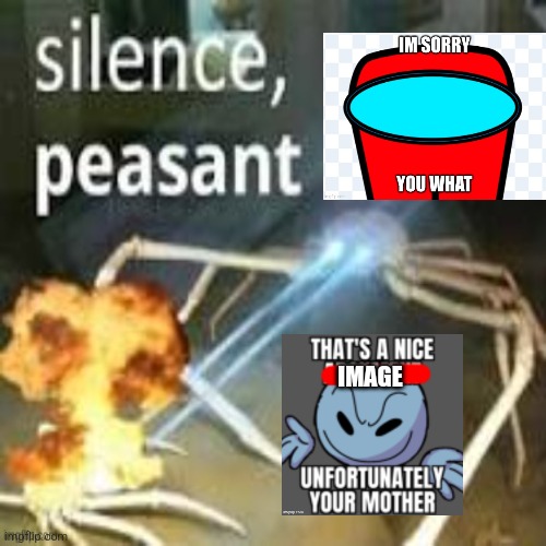 IMAGE | made w/ Imgflip meme maker