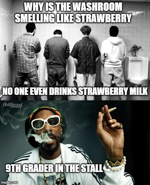 9th grader dps hood memer | WHY IS THE WASHROOM SMELLING LIKE STRAWBERRY; NO ONE EVEN DRINKS STRAWBERRY MILK; 9TH GRADER IN THE STALL | image tagged in men washroom | made w/ Imgflip meme maker