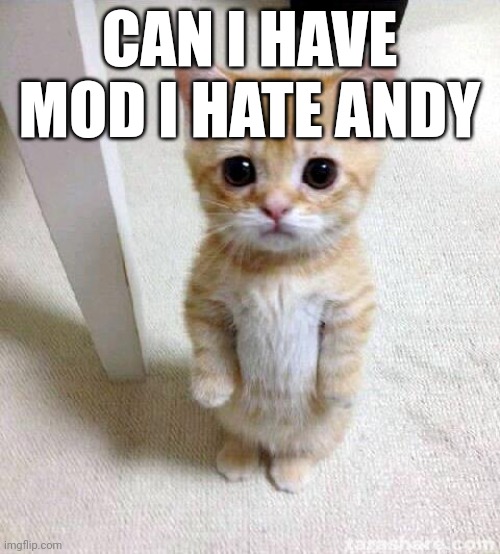 Cute Cat Meme | CAN I HAVE MOD I HATE ANDY | image tagged in memes,cute cat | made w/ Imgflip meme maker