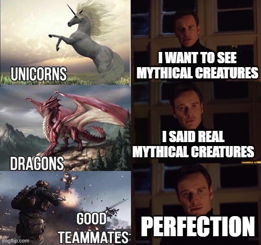 how many of you got good random teammates ? | I WANT TO SEE MYTHICAL CREATURES; I SAID REAL MYTHICAL CREATURES; PERFECTION | image tagged in perfection | made w/ Imgflip meme maker