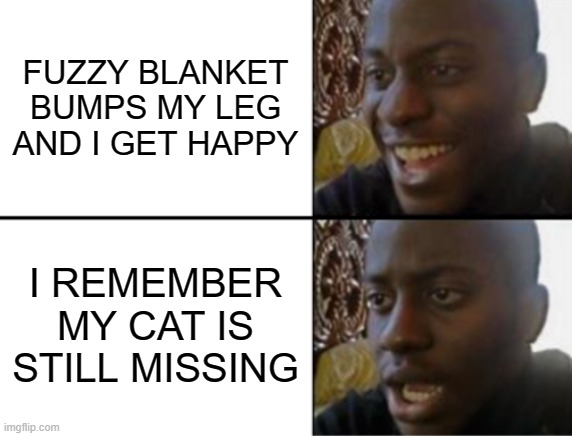 Fuzzy blanket happy missing cat sad | FUZZY BLANKET BUMPS MY LEG AND I GET HAPPY; I REMEMBER MY CAT IS STILL MISSING | image tagged in oh yeah oh no | made w/ Imgflip meme maker