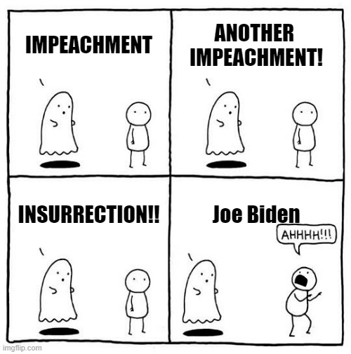 TRUMPTARDICANS Cant Understand Normal Thinking, Sad | IMPEACHMENT; ANOTHER 
IMPEACHMENT! INSURRECTION!! Joe Biden | image tagged in do you are have stupid,oh no it's retarded,scumbag republicans,biden,derangement,syndrome | made w/ Imgflip meme maker