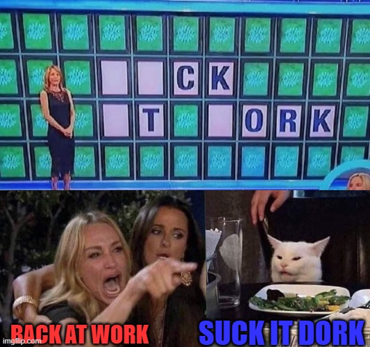 SUCK IT DORK; BACK AT WORK | image tagged in woman yelling at cat | made w/ Imgflip meme maker