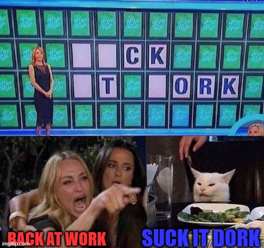 woman yelling at cat | SUCK IT DORK; BACK AT WORK | image tagged in woman yelling at cat | made w/ Imgflip meme maker