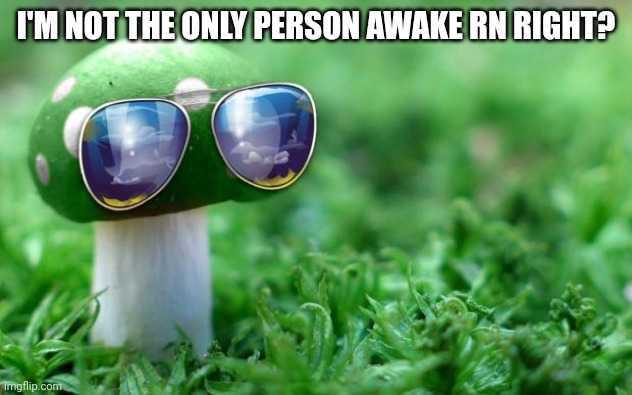 I can't be | I'M NOT THE ONLY PERSON AWAKE RN RIGHT? | image tagged in deal with it mushroom | made w/ Imgflip meme maker