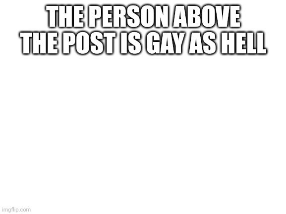 :) | THE PERSON ABOVE THE POST IS GAY AS HELL | image tagged in blank white template | made w/ Imgflip meme maker