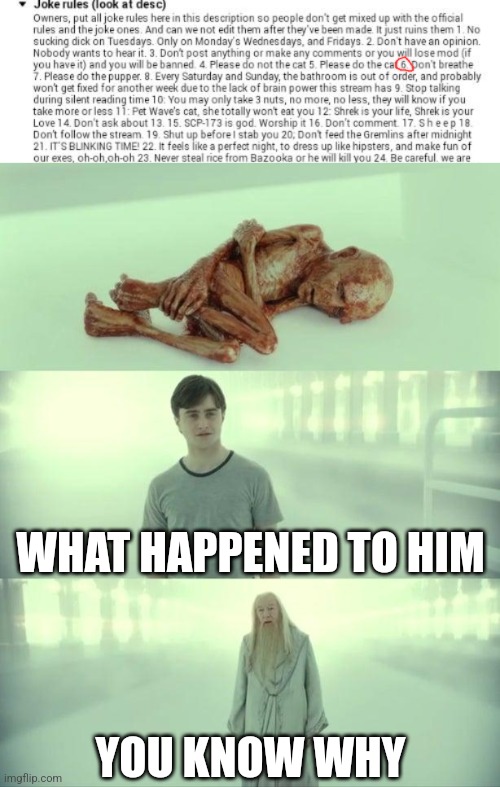 WHAT HAPPENED TO HIM; YOU KNOW WHY | image tagged in dead baby voldemort / what happened to him | made w/ Imgflip meme maker