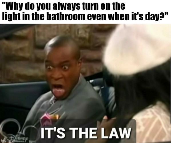 It's the law | "Why do you always turn on the light in the bathroom even when it's day?" | image tagged in it's the law | made w/ Imgflip meme maker