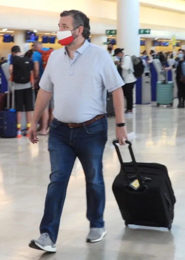 High Quality Cancun Cruz Blank Meme Template