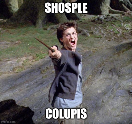 Harry potter | SHOSPLE COLUPIS | image tagged in harry potter | made w/ Imgflip meme maker