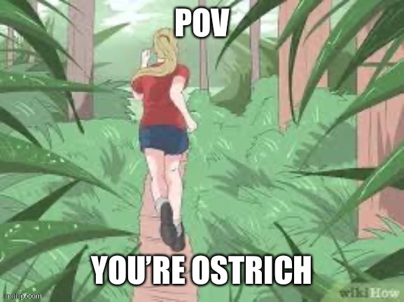 CREDIT TO SunnyBunnyDays! I took this from our convo on the ostrich thing Hope ya don't mind! :> | made w/ Imgflip meme maker