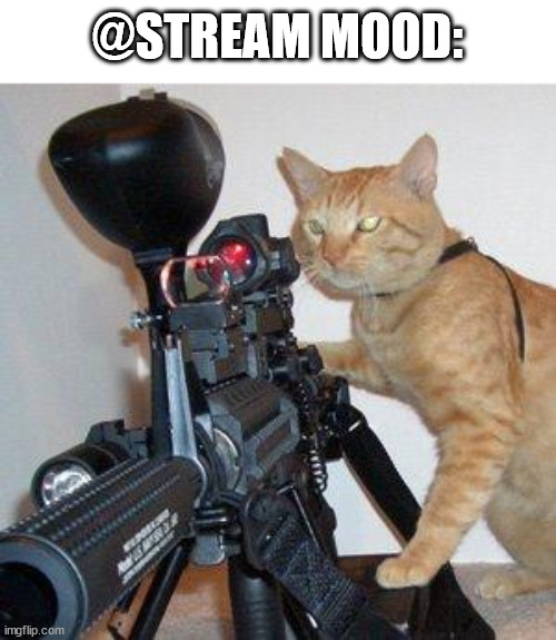 A | @STREAM MOOD: | image tagged in cat with gun | made w/ Imgflip meme maker