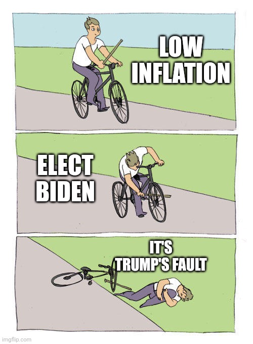 LOW INFLATION ELECT BIDEN IT'S TRUMP'S FAULT | image tagged in it s trumps fault | made w/ Imgflip meme maker