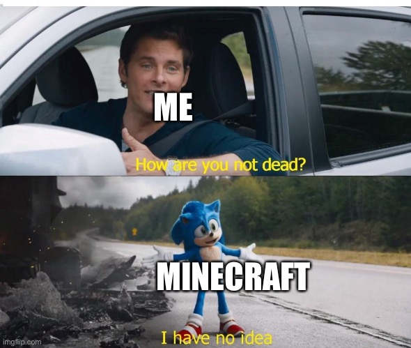 sonic how are you not dead | ME; MINECRAFT | image tagged in sonic how are you not dead | made w/ Imgflip meme maker