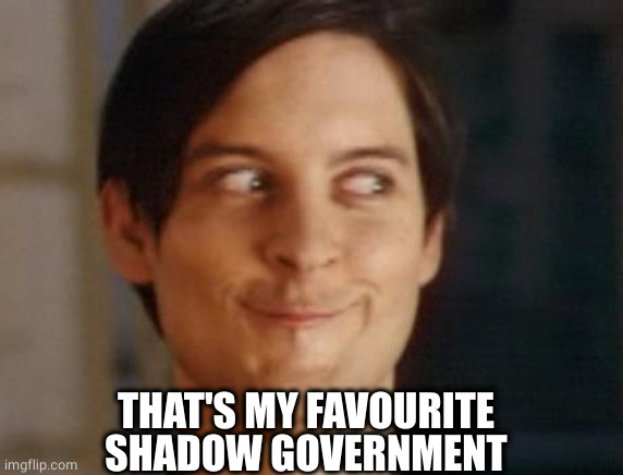 Spiderman Peter Parker Meme | THAT'S MY FAVOURITE SHADOW GOVERNMENT | image tagged in memes,spiderman peter parker | made w/ Imgflip meme maker