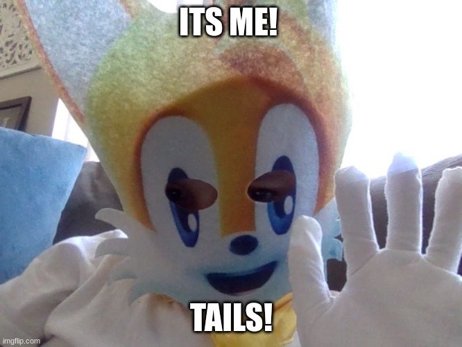 wth tails entered my house | ITS ME! TAILS! | image tagged in lol,its,actually,me | made w/ Imgflip meme maker