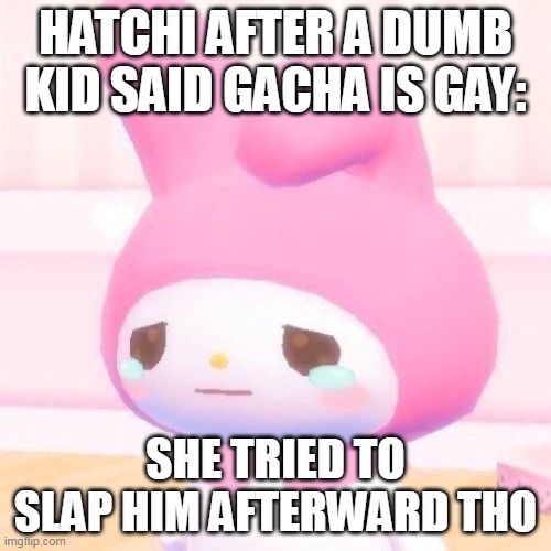 sanrio plush | HATCHI AFTER A DUMB KID SAID GACHA IS GAY:; SHE TRIED TO SLAP HIM AFTERWARD THO | image tagged in sanrio plush | made w/ Imgflip meme maker