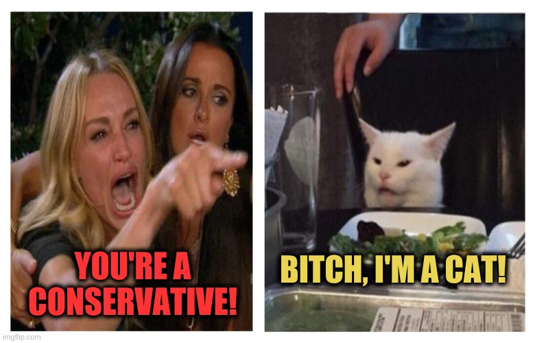 Keep your BS Labels | BITCH, I'M A CAT! YOU'RE A CONSERVATIVE! | image tagged in smudge revise,politics,smudge the cat,smudge,bitch,cat | made w/ Imgflip meme maker