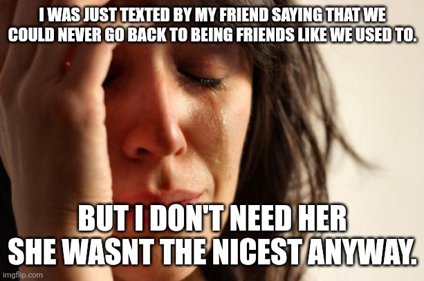 Help | I WAS JUST TEXTED BY MY FRIEND SAYING THAT WE COULD NEVER GO BACK TO BEING FRIENDS LIKE WE USED TO. BUT I DON'T NEED HER SHE WASN'T THE NICEST ANYWAY. | image tagged in memes,first world problems | made w/ Imgflip meme maker