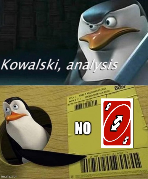 Kowalski Analysis | NO | image tagged in kowalski analysis | made w/ Imgflip meme maker