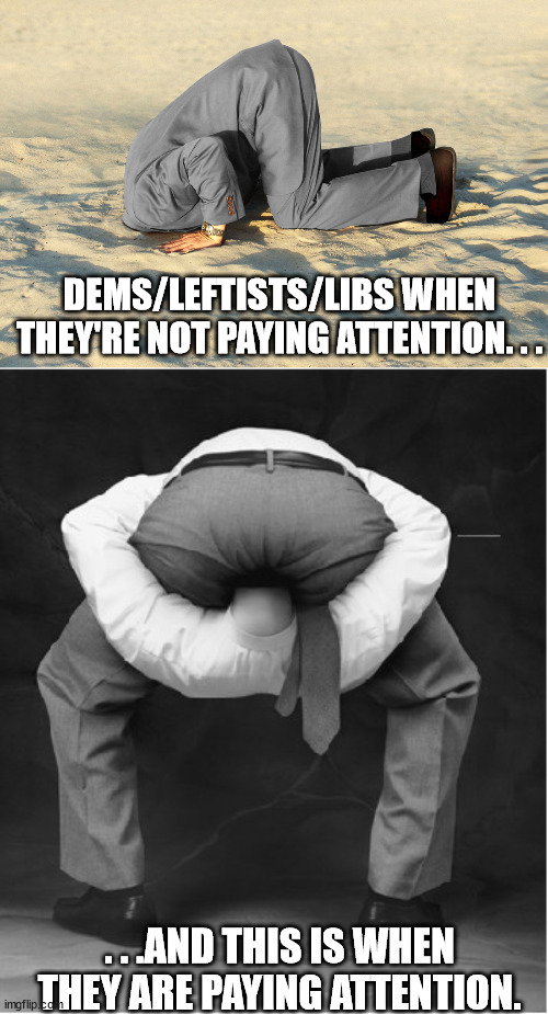 Figured out why they are the way they are. | DEMS/LEFTISTS/LIBS WHEN THEY'RE NOT PAYING ATTENTION. . . . . .AND THIS IS WHEN THEY ARE PAYING ATTENTION. | image tagged in head in sand,head in ass bigger,liberal vs conservative,political meme,political humor | made w/ Imgflip meme maker