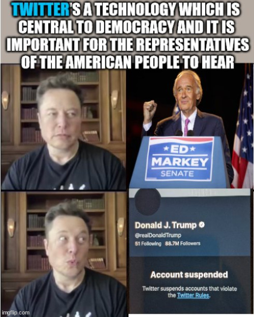 Twitter is Cebtral to Democracy | image tagged in tweets,elon musk,elon musk laughing | made w/ Imgflip meme maker