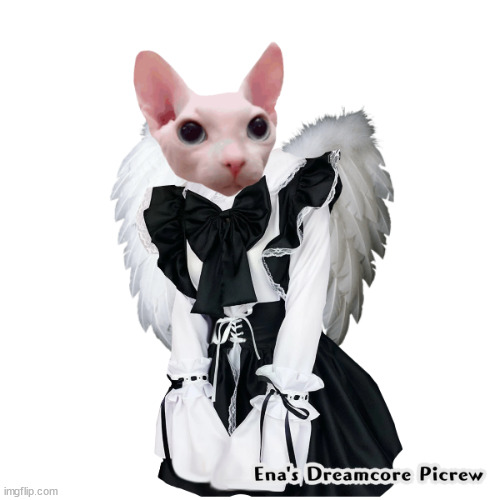 maid bingus | image tagged in maid bingus | made w/ Imgflip meme maker