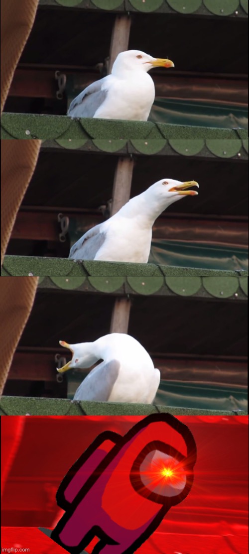 Inhaling Seagull Meme | image tagged in memes,inhaling seagull | made w/ Imgflip meme maker