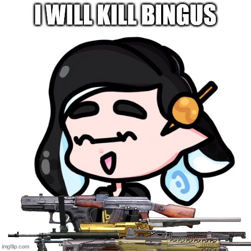 splitza with guns | I WILL KILL BINGUS | image tagged in splitza with guns | made w/ Imgflip meme maker
