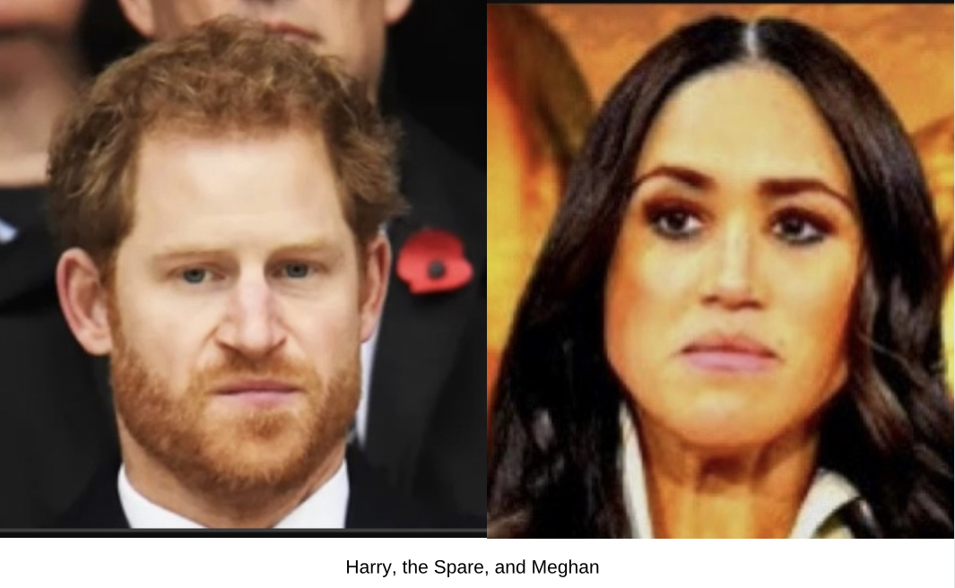 Harry the spare and wife meghan share Blank Meme Template