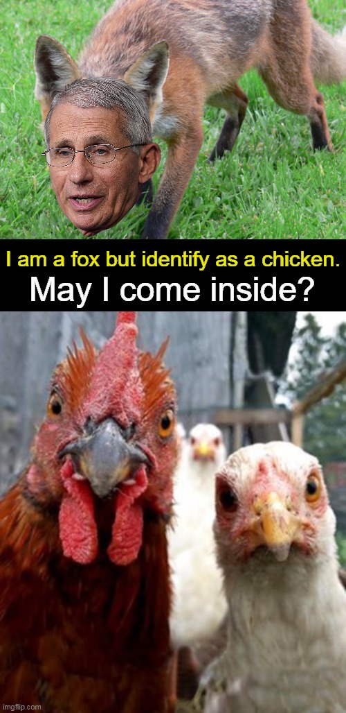 It's Not All About Identity. It's All About Behavior. | image tagged in politics,dr fauci,fox in the hen house,covid vaccine,side effects,lied and people died | made w/ Imgflip meme maker