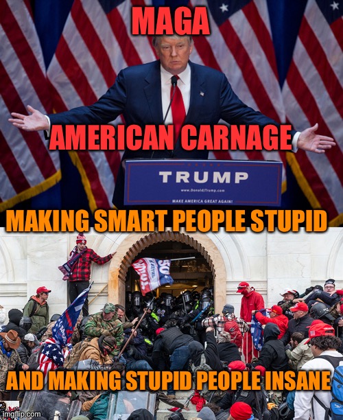 MAGA; AMERICAN CARNAGE; MAKING SMART PEOPLE STUPID; AND MAKING STUPID PEOPLE INSANE | image tagged in donald trump,trump cult insurrection riot | made w/ Imgflip meme maker