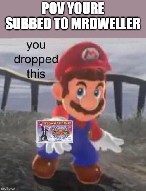 Mario found your clown license | POV YOURE SUBBED TO MRDWELLER | image tagged in mario found your clown license | made w/ Imgflip meme maker
