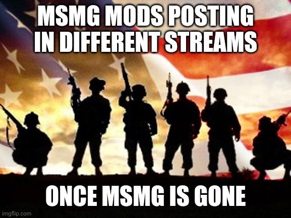 veterans day | MSMG MODS POSTING IN DIFFERENT STREAMS; ONCE MSMG IS GONE | image tagged in veterans day | made w/ Imgflip meme maker